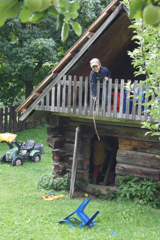 Der Perweinhof Donnersbachwald