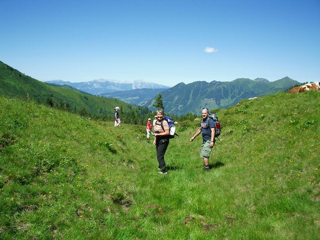 Der Perweinhof Donnersbachwald