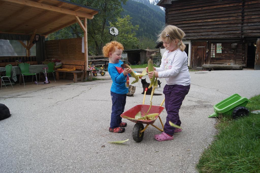 Der Perweinhof Donnersbachwald