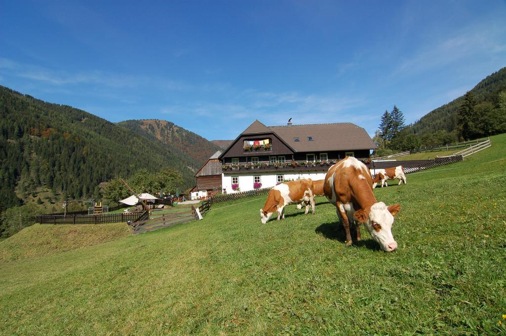 Der Perweinhof Apartment *