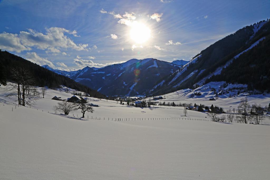Der Perweinhof Donnersbachwald